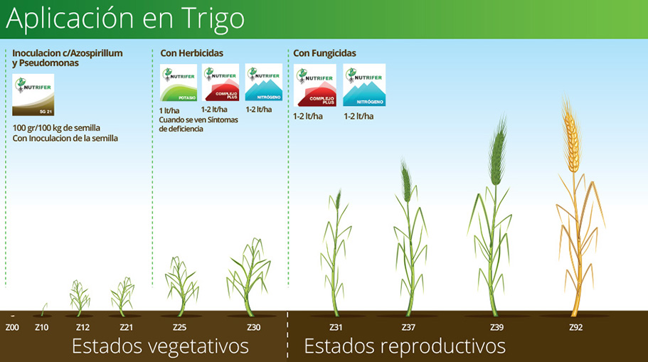 NUTRIFER - aplicaciones en Trigo